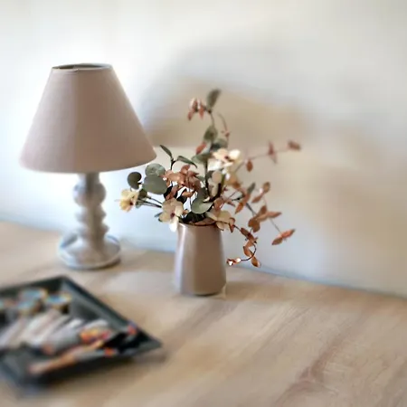 Castor - The Spartan