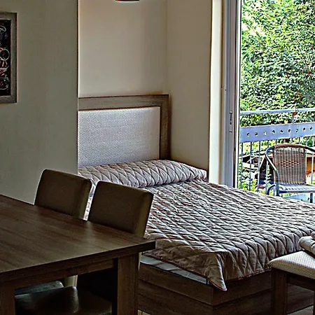 Castor - The Spartan Sparta