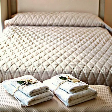 Castor - The Spartan