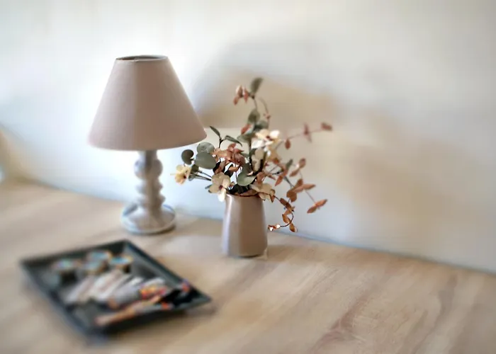 Castor - The Spartan