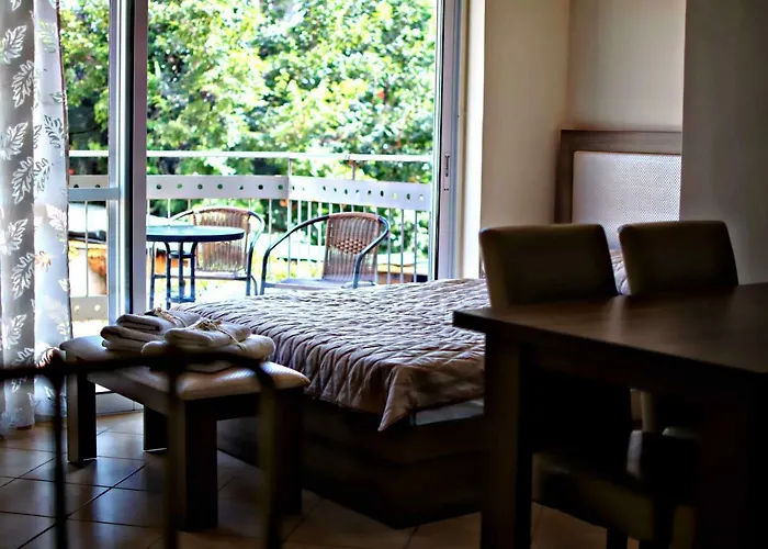 Castor - The Spartan